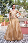 New Launching Wedding collection Lehenga Choli