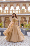 New Launching Wedding Lehenga Choli