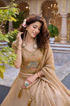 New Launching Wedding Lehenga Choli